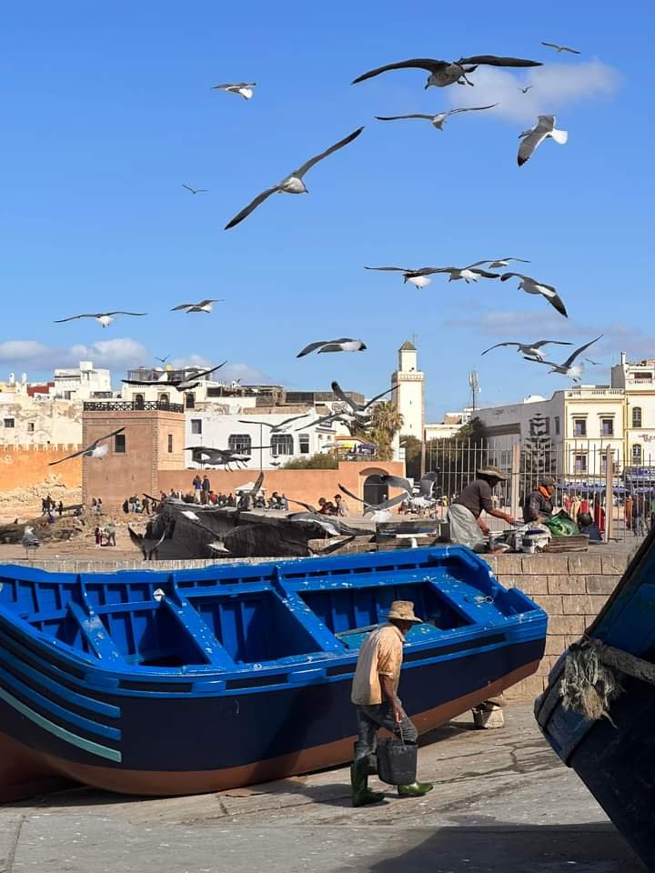 essaouira